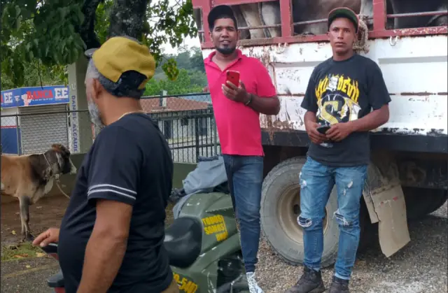 Llevaban un camión cargado de vaca