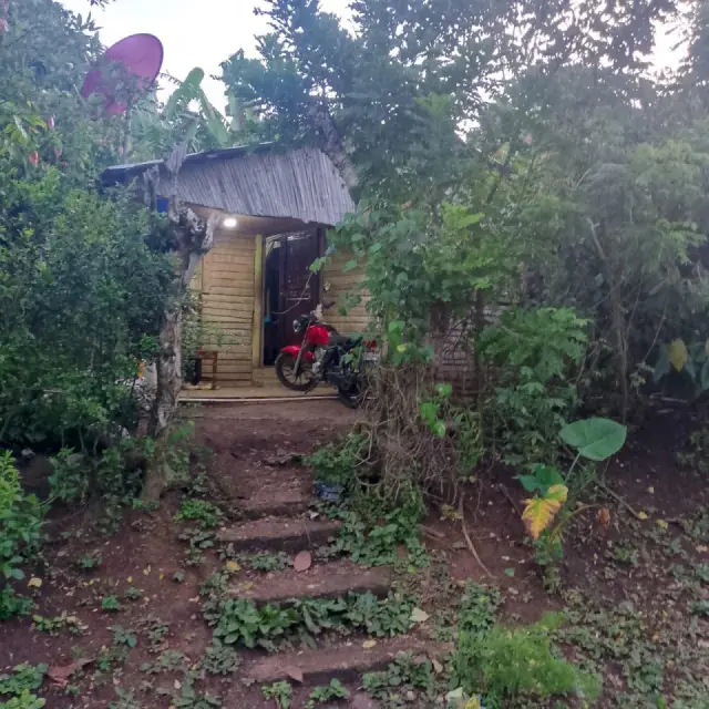 Hombre hiere de gravedad a su hermano con un machete
